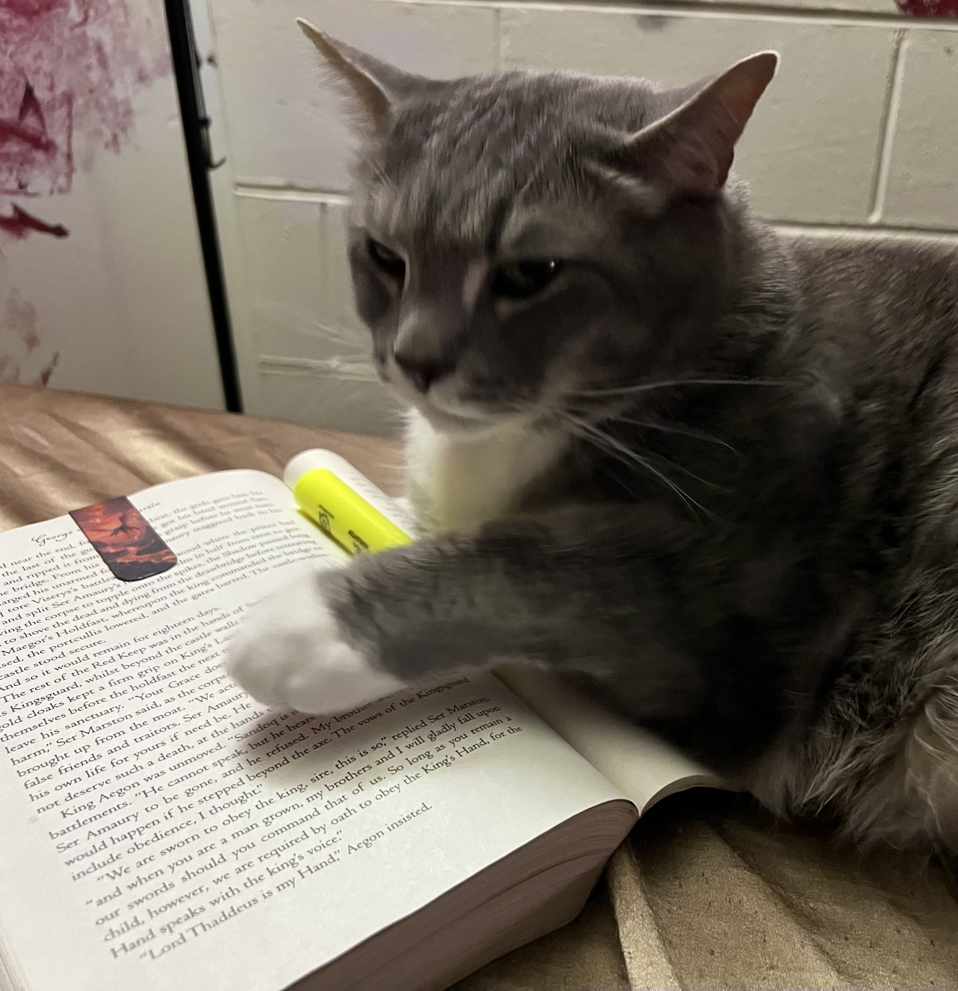 Reading and Writing: Understanding both sides of the Experience